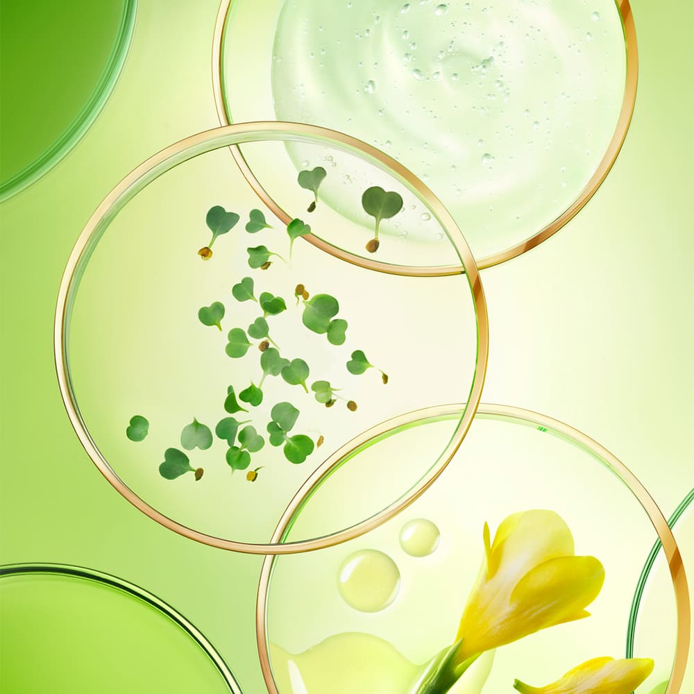 NUXE NUXURIANCE ULTRA (D&Uacute;O DE SUERO Y CREMA DE MANOS ANTI-MANCHAS)